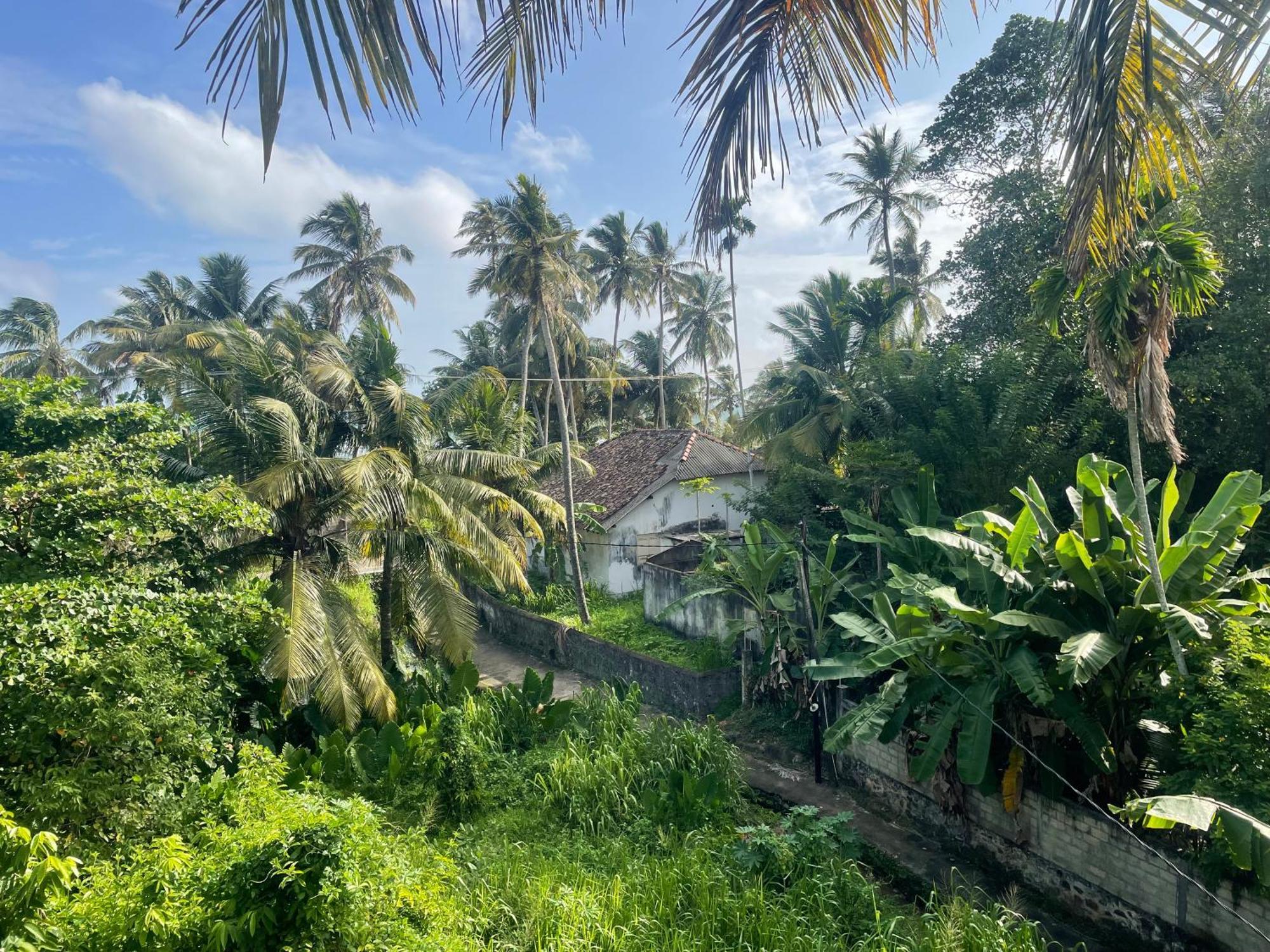 Serendipity Beach Unawatuna Eksteriør bilde