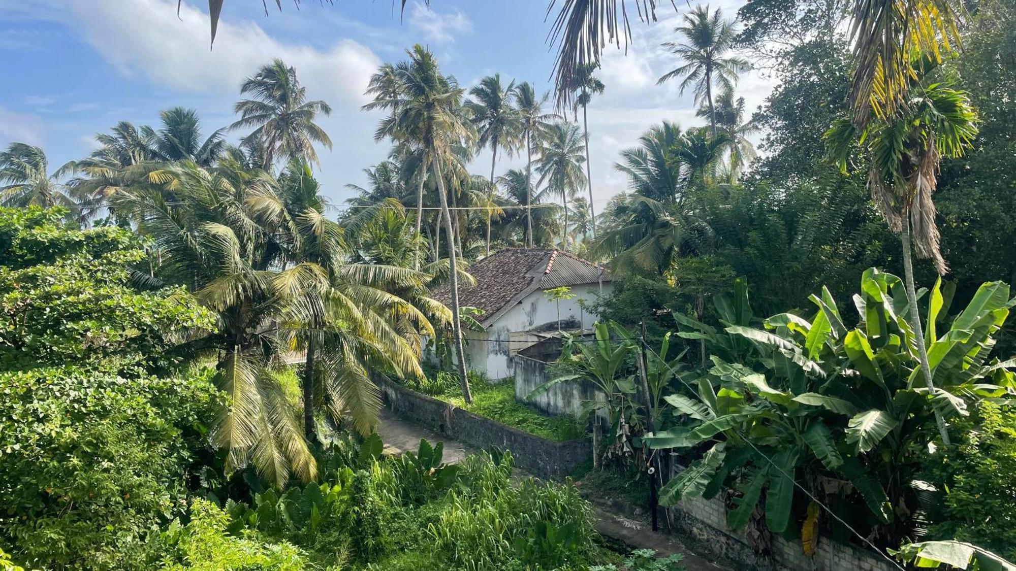 Serendipity Beach Unawatuna Eksteriør bilde